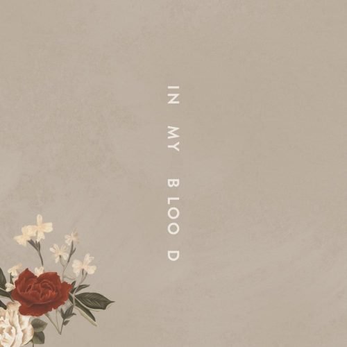 Shawn Mendes - In My Blood (Artwork)